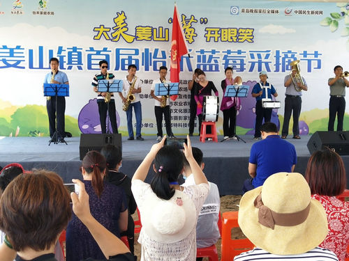 莱西:牛奶灌溉十一年未用农药的蓝莓在姜山镇开始采摘 莱西:牛奶灌溉十一年未用农药的蓝莓在姜山镇开始采摘